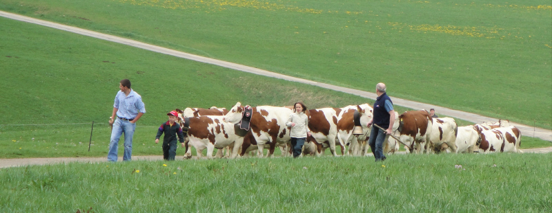 La five aux foins.JPG